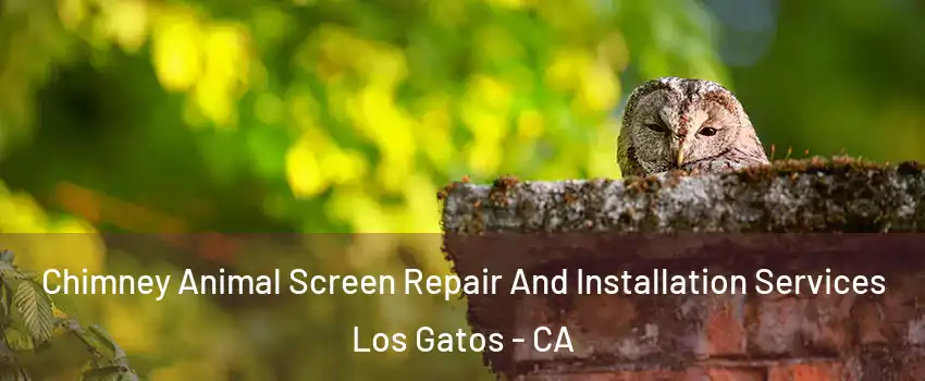  Chimney Animal Screen Repair And Installation Services Los Gatos - CA