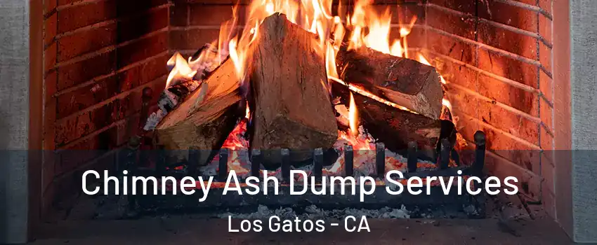  Chimney Ash Dump Services Los Gatos - CA