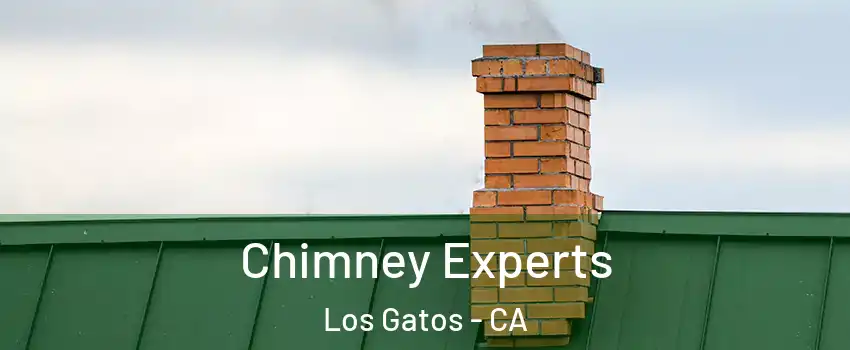 Chimney Experts Los Gatos - CA