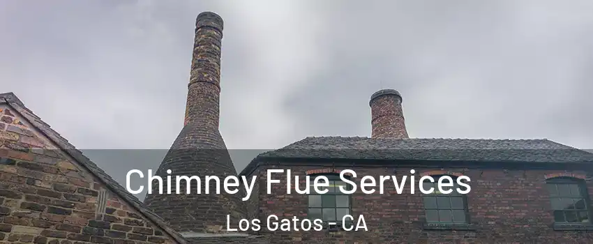  Chimney Flue Services Los Gatos - CA