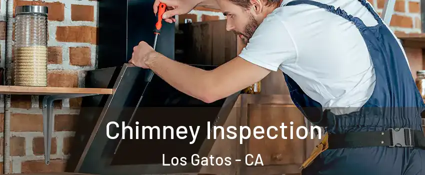  Chimney Inspection Los Gatos - CA