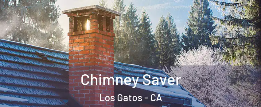  Chimney Saver Los Gatos - CA
