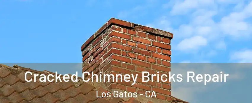  Cracked Chimney Bricks Repair Los Gatos - CA