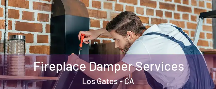  Fireplace Damper Services Los Gatos - CA