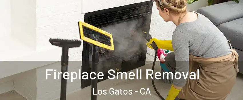  Fireplace Smell Removal Los Gatos - CA