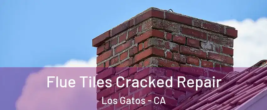  Flue Tiles Cracked Repair Los Gatos - CA