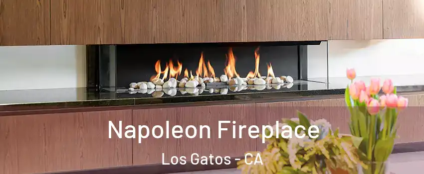  Napoleon Fireplace Los Gatos - CA