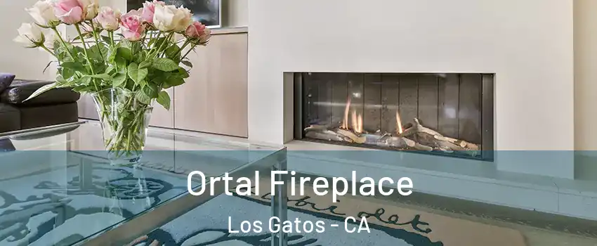 Ortal Fireplace Los Gatos - CA